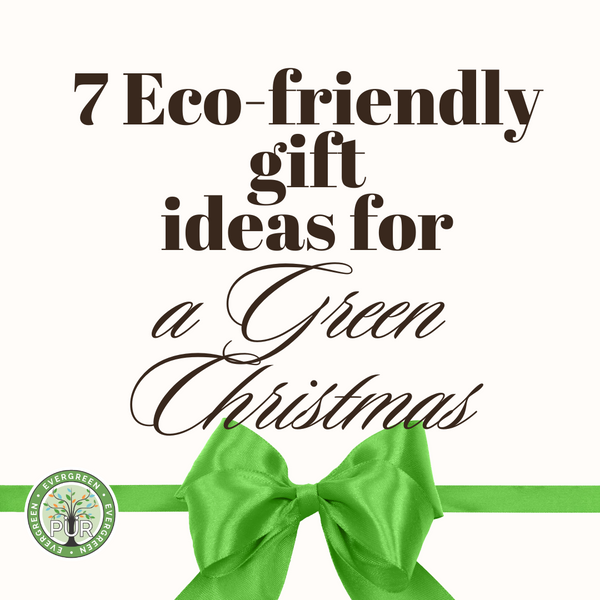 Eco-Friendly Gift Ideas for a Green Christmas with PÜR Evergreen