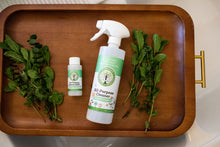 Load image into Gallery viewer, Empty 16 oz spray bottle and 2 oz cleaner Sustainable Ecofriendly Green natural home goods PÜR Evergreen antibacterial all-purpurse cleaner non-toxic families safe natural zero waste Mrs Meyers Method Forces of Nature sassy spearmint cozy bliss eucalyptus mint yummy smell good scent fresh