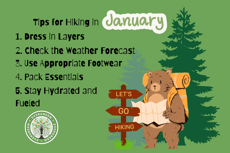 Tips for Hiking in January