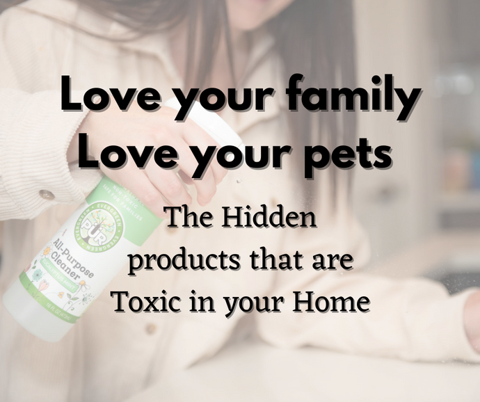 Love your family, Love your pets: The Hidden products that are Toxic in your Home