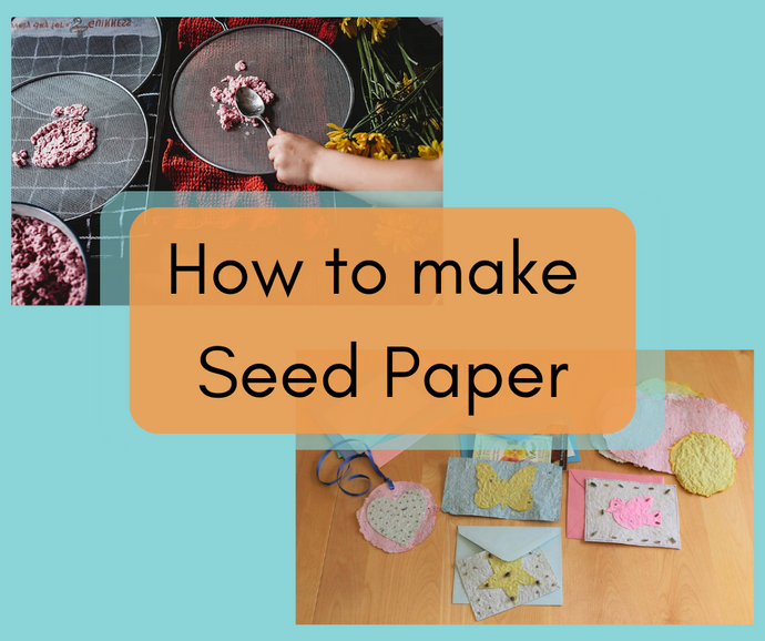 How to make Seed Paper