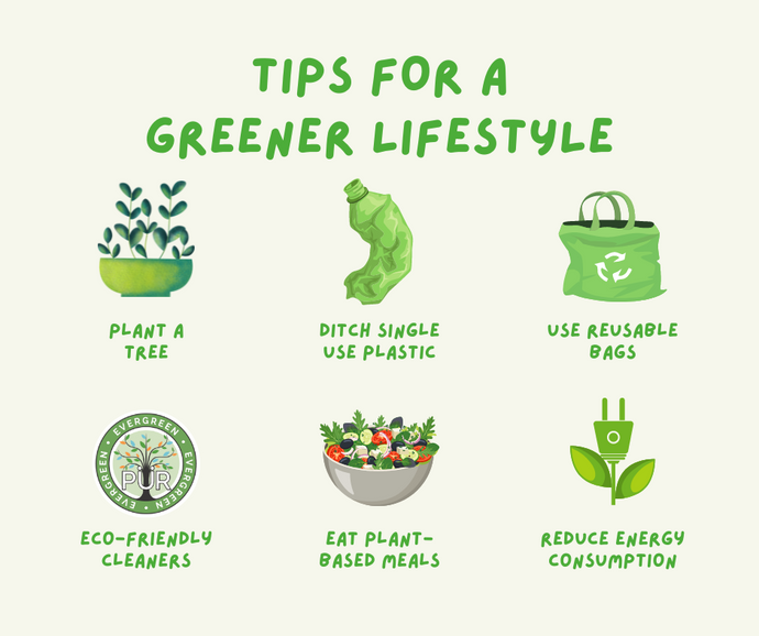 Easy Eco-Friendly Tips for a Greener Lifestyle