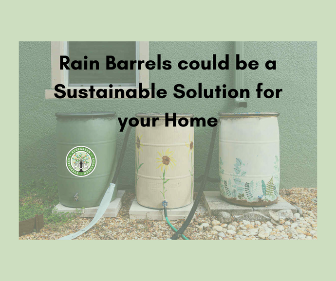 How Rain Barrels can be a Sustainable Solution for your Home