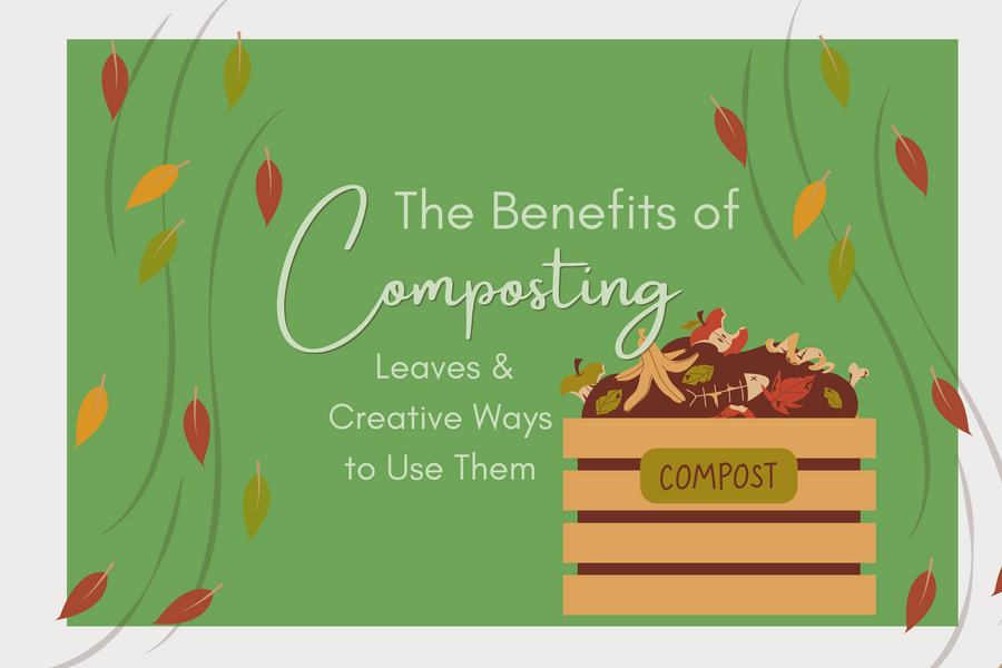 The Benefits of Composting Leaves & Creative Ways to Use Them