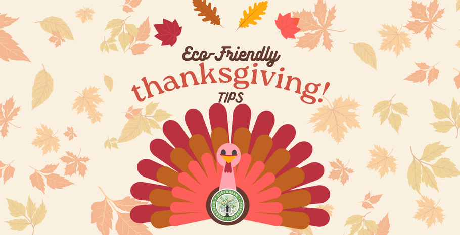 🌿 Eco-Friendly Thanksgiving Tips
