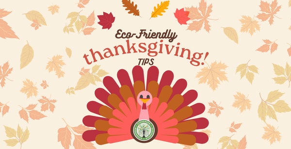 eco friendly thanksgiving tips