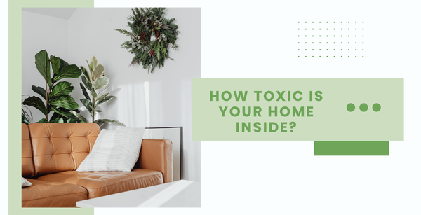 How toxic is your home inside?