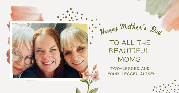 Happy Mother’s Day to All the Beautiful Moms—Two-Legged and Four-Legged Alike!
