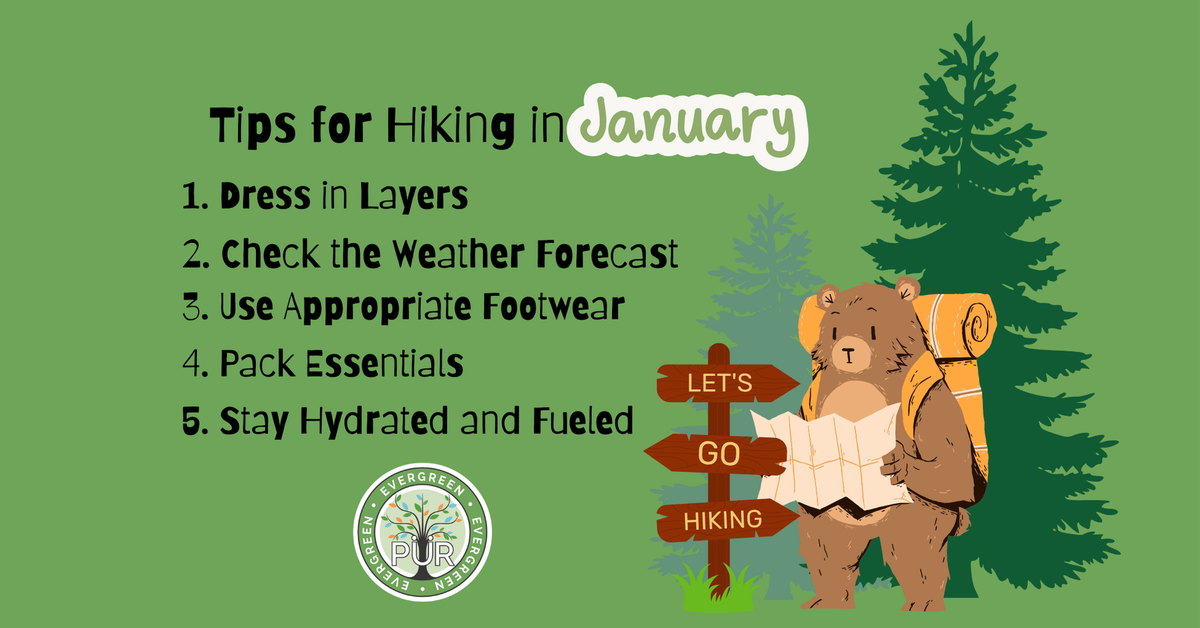 Tips for Hiking in January – PÜR Evergreen