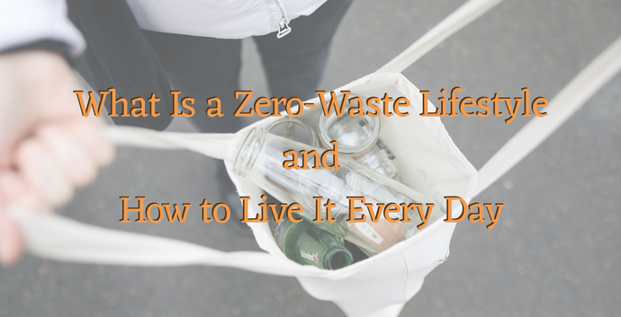 What Is a Zero Waste Lifestyle and How to Live It Every Day