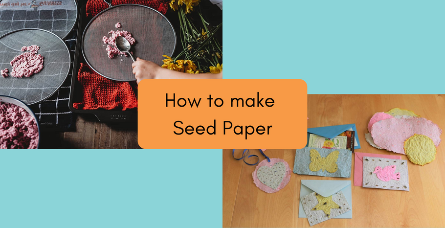 How to make Seed Paper