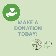 Call to action with 'Make a Donation Today!' text and 'PUR Evergreen' logo on a light green background.