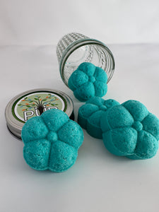 Eucalyptus Mint shower steamers Sustainable Ecofriendly Green natural home goods PÜR Evergreen safe natural zero waste Mrs Meyers Method Forces of Nature eucalyptus mint yummy smell good scent fresh