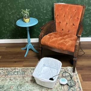 Ionic Foot Detox
